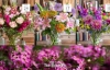 英国最棒的网上花店之一：Freddie’s Flowers