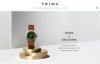 购买瑞典当代设计的腕表和太阳眼镜：TRIWA